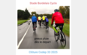 Clôture codep 33 à St Laurent - Médoc