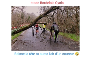 Rien ne les arrête (2)