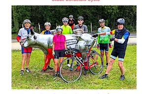 Les cyclos et le taureau