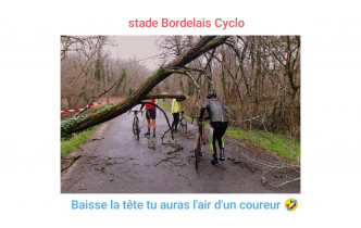 Rien ne les arrête (2)