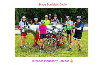 Les cyclos et le taureau